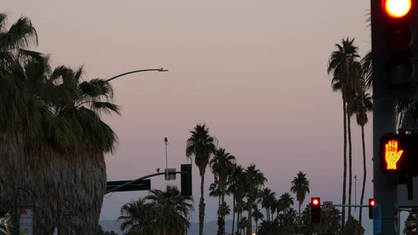 Palm trees and sky, Palm Springs street, city near Los Angeles, semaphore traffic lights on crossroad. California summer road trip on car, travel USA. Road sign in twilight dusk, evening after sunset.