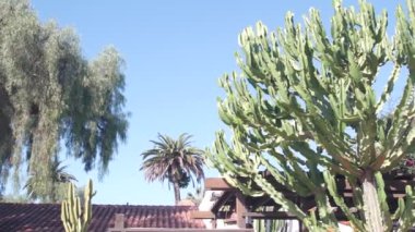 Eski evin çatısı, terracotta seramik kil fayanslar. Meksika ya da İspanya sömürgesi Akdeniz tarzı, kırsal bahçe. Taşra köyü, yeşillikteki kırsal çiftlik. California banliyösü.