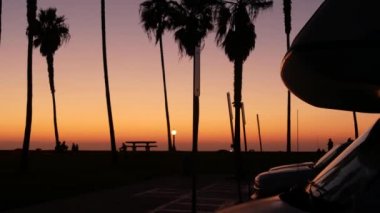 Karavan, yolculuk için karavan, günbatımında plajda palmiye ağaçları, Kaliforniya sahili, ABD. Gün batımında, San Diego, Mission plajı sahil parkındaki karavan karavanı. Mobil ev karavanı.