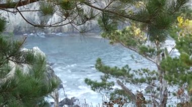 Kaya, kayalık ya da uçurum, koya düşen okyanus dalgaları, su sıçrayan deniz. Big Sur, 17 mil yol, Point Lobos eyalet parkı deniz manzarası, Monterey, Kaliforniya kıyısı ABD. Kozalaklı çam selvisi ormanı ya da koruluğu
