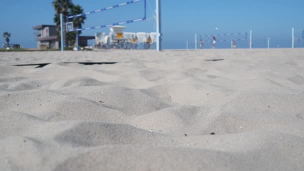 在海滩球场打排球的选手 用球和网打排球的人 加利福尼亚海岸 在运动场上 沙质的海岸上 逮捕了一些活跃的人 无缝圈底片背景图 — 图库视频影像