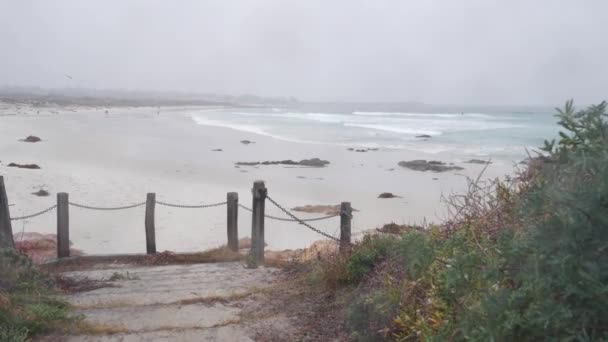 Havsstrand Sanddyner Monterey Natur Kalifornien Dimmiga Kusten Usa Foggy Regnig — Stockvideo