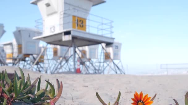 Livräddare Står Och Blommar Livvakt Torn För Surfing Kaliforniens Strand — Stockvideo