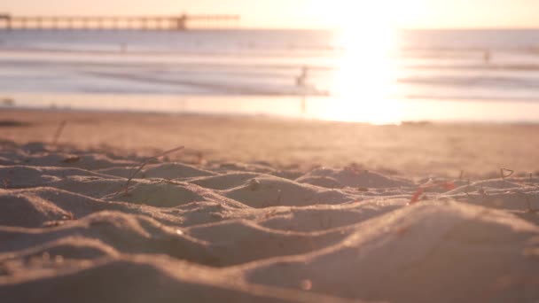 Άνθρωποι Περπατούν Στην Αμμώδη Παραλία Ocean Από Προβλήτα Στο Ηλιοβασίλεμα — Αρχείο Βίντεο
