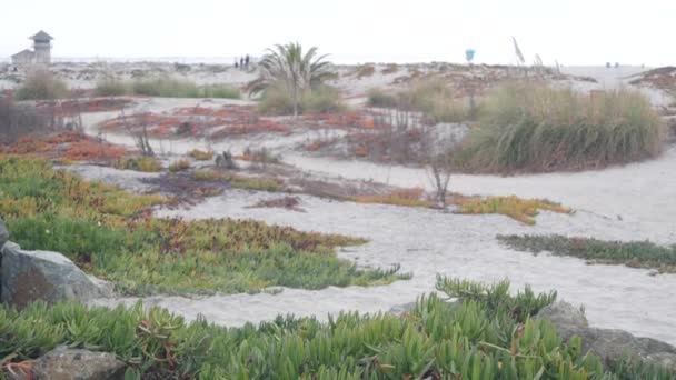 Sanddyner Dimmiga Coronado Stranden Havsvågor Dimma Kaliforniens Kust Usa Molnigt — Stockvideo