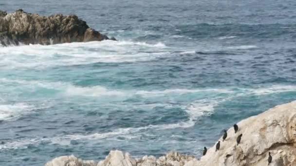 Plage Océanique Spectaculaire Escarpée Près Big Sur Voiture Grandes Vagues — Video