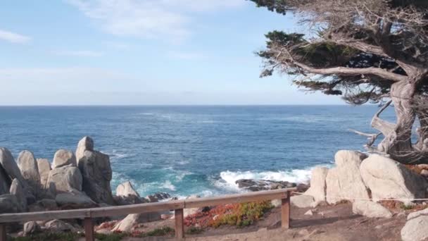 落基高耸的海洋海岸和柏树林 蓝色的水波和针叶树林 风景优美的17英里车道 蒙特利自然靠近点Lobos 大苏尔和卵石海滩 加利福尼亚州 — 图库视频影像