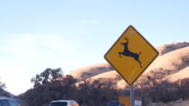 Geyik uyarı sarı işareti, California USA. Vahşi hayvanlar trafik işaretlerini kırsal yolda güvenli sürüş için aşındırıyor. Vahşi doğada otoyoldaki arabalara karşı vahşi hayvan koruması. Yolculuk konsepti