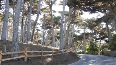 17 millik manzaralı yol, Monterey yarımadası, Kaliforniya, ABD. Selvi ağacı ormanları, kozalaklı çam ağaçları, koruluklar ve ormanlar arasında yol gezisi. Pasifik kıyısı otoyolu Big Sur yakınlarında turizm rotası