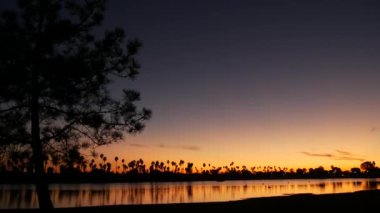 Günbatımı okyanus sahilindeki palmiye ağaçları ve çam siluetleri, Kaliforniya sahilleri, ABD. San Diego kıyısındaki Mission Bay Park 'ın sakin suyunda mor turuncu gökyüzünün yansıması. Deniz yüzeyi ve tropikal gün batımı.