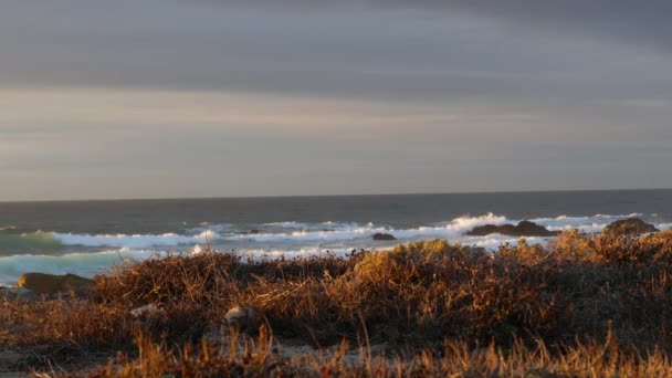 落基崎岖的太平洋海岸 海浪冲撞 17英里的车程 加州蒙特利美国 在大苏尔Lobos角 卵石海滩附近的戏剧性日落自然 鸟儿在飞无缝线环路电影图 — 图库视频影像