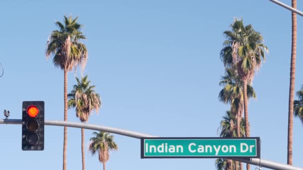 Palm Trees Blue Sky Palm Springs Resort City Los Angeles — Stock Video