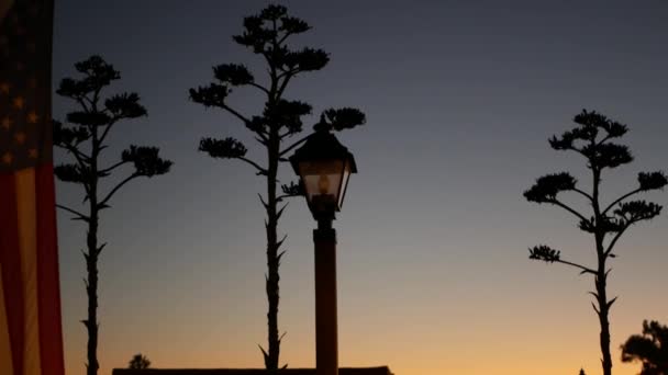 Succulent Agave Flower Panicle Vintage Lantern American Flag Waving Western — Stock Video
