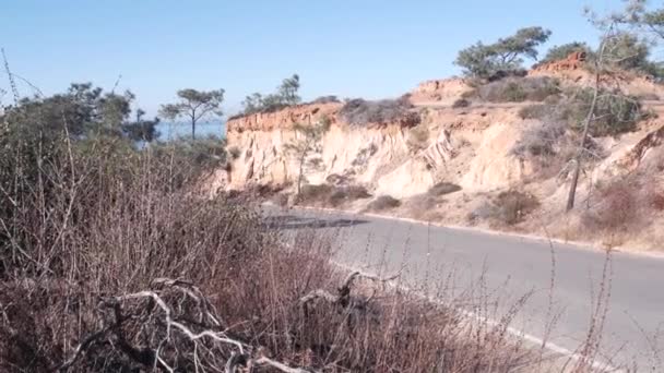 Taman Torrey Pines Cagar Alam Untuk Ekowisata Trekking Dan Jalan — Stok Video