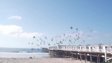 Tahta Kristal İskelesi ve beyaz kulübeler, California Okyanus Sahili, ABD. San Diego sahilindeki yazlık sahil evleri. Beyaz evler ve teklifler uçuyor, deniz kıyısındaki bungalovlar