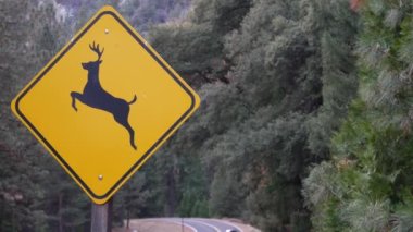 Geyik uyarı sarı işareti, California USA. Vahşi hayvanlar trafik işaretlerini aşarak yolda güvenli sürüş yapıyorlar. Yosemite Ulusal Park Ormanı 'ndaki arabalardan vahşi yaşam koruma alanı. Yolculuk konsepti