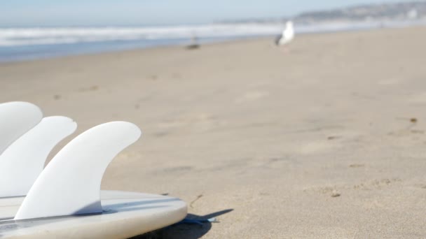 美国加利福尼亚海岸海滩沙滩上冲浪的冲浪板 海浪和白浪冲浪板或冲浪板 水上水上运动用的长板或水槽 岸上的体育活动 — 图库视频影像