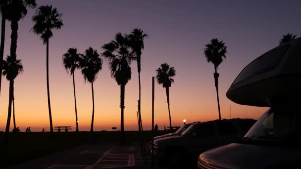 汽车家庭拖车 大篷车公路旅行 棕榈树海滩日落 加利福尼亚海岸 在圣迭戈的海滨公园 任务海滩 野营面包车的汽车的家 流动家庭野营车 — 图库视频影像