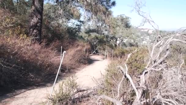 トーリーパインズ州立公園 エコツーリズムのための自然保護区 トレッキングやトレイルハイキング 海岸カリフォルニア州 環境保護 サンディエゴ近くの荒野 エコツーリズムのための指定歩道 — ストック動画