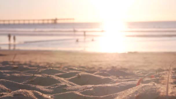 사람들은 캘리포니아 해안의 모래사장을 걷는다 실루엣 실루엣은 햇빛을 받으며 해변의 — 비디오