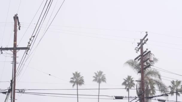 Palmeras Niebla Calle Ciudad Americana Niebla Brumosa Tiempo Nublado California — Vídeo de stock