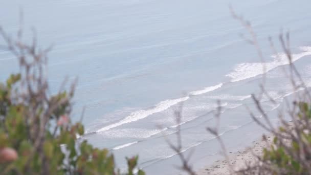 急な崖 岩または崖 カリフォルニア州海岸浸食 トーリーパインズ海岸線の視点 ビーチでの海の潮 大きな波がクラッシュし 海の泡 上から空中の景色を見下ろします — ストック動画