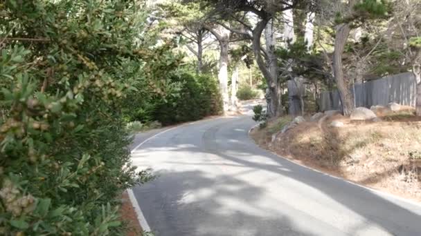 美国加利福尼亚州蒙特雷半岛17英里的风景大道 公路穿越柏树林 针叶林 常绿松树林 树林或树林 大苏尔附近的太平洋海岸公路旅游路线 — 图库视频影像