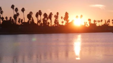 Günbatımı okyanus sahillerinde birçok palmiye ağacı silueti, Kaliforniya sahilleri, ABD. San Diego kıyısındaki Mission Bay Park 'ın sakin sularında mor turuncu gökyüzünün yansıması. Deniz yüzeyi ve uçan kuşlar