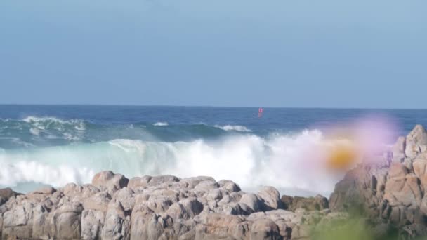 大きな嵐の波が岩だらけの岩場のビーチ モントレー湾の海岸 カリフォルニア州の海洋海岸 米国でクラッシュします 自然の17マイルの駆動力 海の水 野生の花 海のしぶき ペブルビーチの崖 — ストック動画