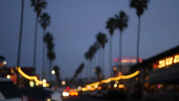 Palmeiras Desfocadas Ocean Beach Luzes Crepúsculo Fila Palmtrees Carros Estrada — Vídeo de Stock