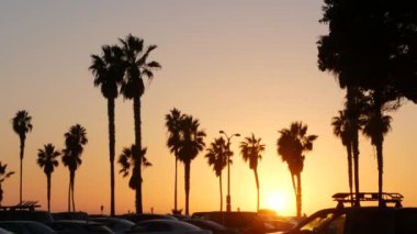 Portakal rengi gökyüzü, Kaliforniya sahillerinde gün batımında plajda palmiye ağaçlarının siluetleri. San Diego 'daki sahil parkında, Pasifik kıyısındaki Mission plaj tatil beldesinde. Tropik Amerikan Yazı.