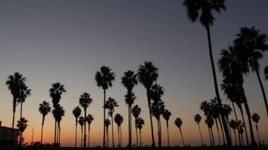Turuncu ve mor gökyüzü, Kaliforniya sahillerinde, gün batımında, plajda palmiye ağaçlarının siluetleri. San Diego 'daki sahil parkı, Mission plaj tatil beldesi. İnsanlar akşam karanlığında yürüyorlar.