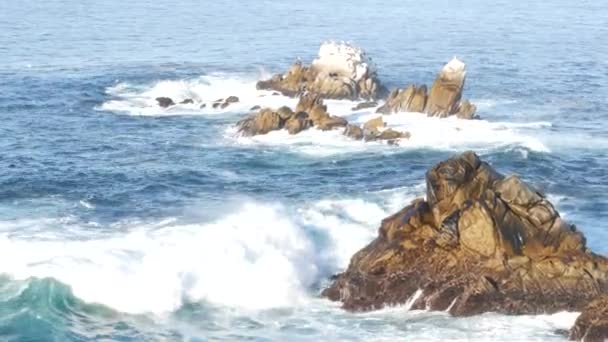 ロッキー険しい海のビーチ 大きな波が裸の崖の上にクラッシュし 青い水のしぶき 海の泡 ビッグサー 17マイルのドライブの近くの自然の力 劇的な海景 Point Lobos Monterey — ストック動画