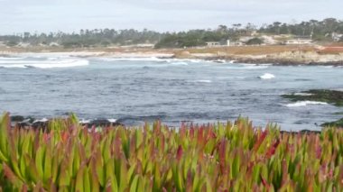 17 mil, Monterey, Kaliforniya ABD. Banliyö gayrimenkulleri, okyanus kıyısındaki evler, sahil kenarındaki villalar, yazlıklar. Pasifik kıyıları Pebble plajı ve Carmel kıyısında. Tatiller için kiralık mülk