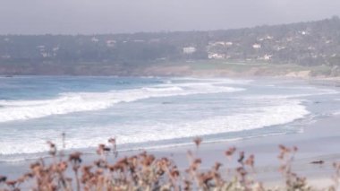 Carmel 'deki boş okyanus kumlu plajı, Monterey körfezi doğası, California sahili, ABD. Büyük köpüklü deniz dalgaları kıyıya çarpıyor. Deniz kıyısındaki tatil beldesi. Güneşli sisli hava, güneş ışığı.