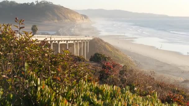 太平洋岸高速道路1号線 トーリー パインズ州立ビーチ サンディエゴ カリフォルニア州アメリカ 海岸道路の旅の休暇は 日没の席の風光明媚な景色をポイントします 海沿いの高速道路101号線の旅 — ストック動画