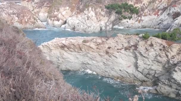 針葉樹の松ヒノキの木 裸の岩 岩場や崖 海のビーチ 湾の青い海の水の波 17マイルのドライブ ビッグサーの近くの自然 Trail China Cove — ストック動画