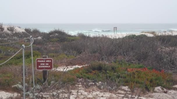 Oceaan Strand Zandduin Monterey Natuur Californië Mistige Kust Verenigde Staten — Stockvideo