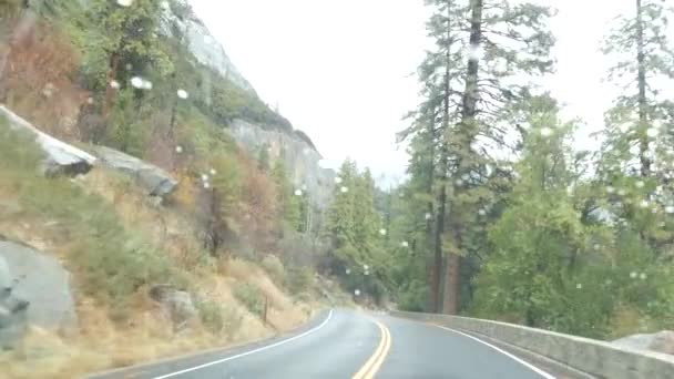 Gotas Lluvia Parabrisas Conducción Coches Bosque Pinos Niebla Yosemite Viaje — Vídeos de Stock