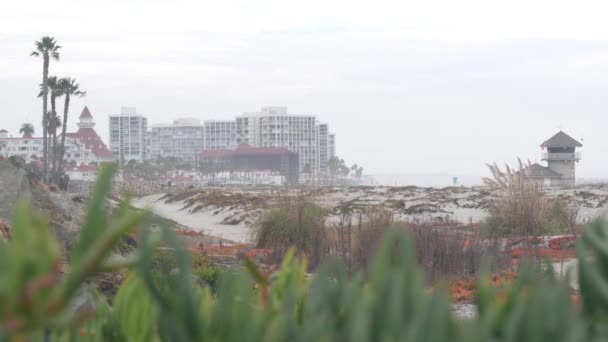 Dunas Areia Neblina Praia Coronado Ondas Oceânicas Nevoeiro Costa Califórnia — Vídeo de Stock