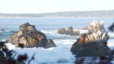 Kayalık okyanus plajı. Büyük dalgalar kayalıklara çarpıyor, mavi su sıçrıyor, deniz köpüğü. Big Sur yakınlarında doğanın gücü, 17 millik yol. Dramatik deniz manzarası. Point Lobos, Monterey, California sahili, ABD
