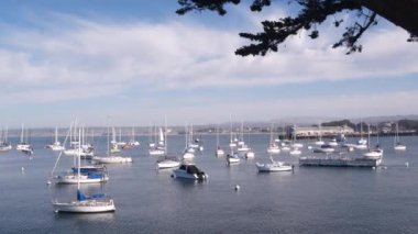 Limanda ya da körfezde yatlar, Monterey marinası Old Fishermans Wharf, rıhtım ya da rıhtım, Kaliforniya kıyısı ABD. Yelkenliler, deniz gemileri, yelkenliler, okyanus suları. Liman kıyısında gezinti güvertesi.