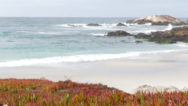 Scenic Mile Drive Monterey Californië Verenigde Staten Rotsachtige Grillige Oceaan — Stockvideo