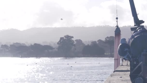 Γλαρόσκυλο Κιγκλιδώματα Προβλήτας Λιμάνι Λιμάνι Εμπορική Αποβάθρα Προβλήτα Ψαράδων Σκάφη — Αρχείο Βίντεο