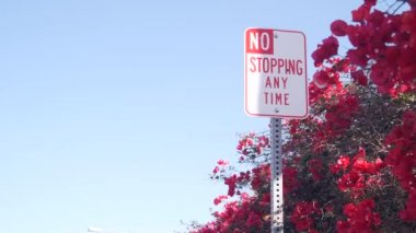 California City Caddesi, ABD 'de yol kenarında zaman tabelasında durmak yok. Bougainvillea bitkisinin kırmızı çiçekleri, kırmızı çiçek ya da çiçek, mavi gökyüzü. Amerika 'da trafik işaretleri yok. Yolculuk