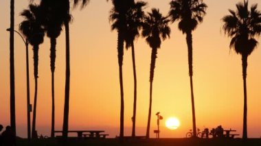 Portakal rengi gökyüzü, Kaliforniya sahillerinde gün batımında plajda palmiye ağaçlarının siluetleri. San Diego 'da gün batımında sahil kenarında bisiklet ya da bisiklet, sahildeki Mission plaj tatil beldesi. Yürüyen insanlar.
