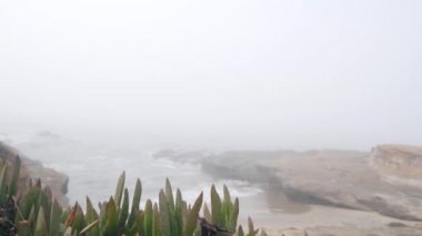 Sisli deniz manzarası, okyanus sahillerine vuran dalgalar, sisli hava. Sakin karamsar atmosfer, gri deniz manzarası kasvetli dramatik California kıyıları, fırtınalı su. Kusursuz döngülü görüntü grafiği.
