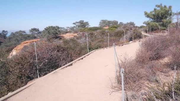 Torrey Pines State Park Přírodní Rezervace Pro Ekoturistiku Pěší Turistiku — Stock video