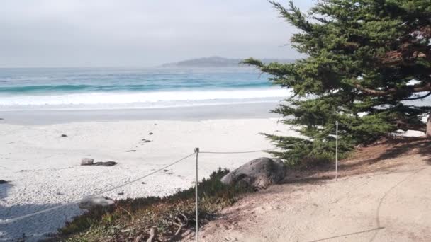 Promenade Pad Loopbrug Pad Voetpad Oceaan Zandstrand Carmel Monterey Californië — Stockvideo