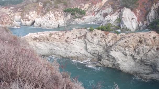 Ciprés Pino Coníferas Roca Desnuda Peñasco Acantilado Playa Oceánica Olas — Vídeos de Stock